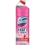 Domestos WC-Gel Kraft&Frische Floral Fresh 750 ml