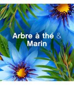 Lenor Perle parfumate Zeebries 12 sc/155 gr. - imagine 7